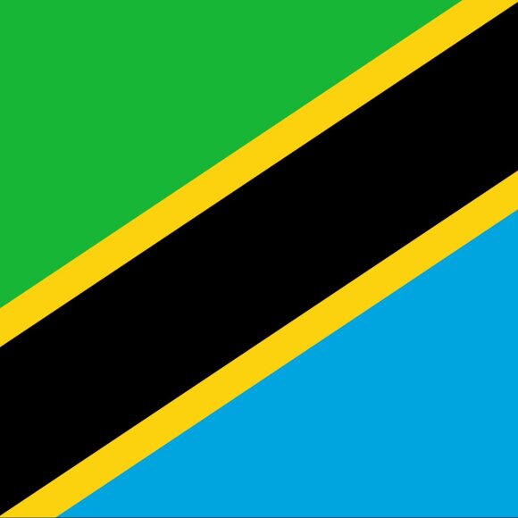 Tanzania Tanzanian flag bead keychain, glass seed beads, handmade - Picture 4 of 4